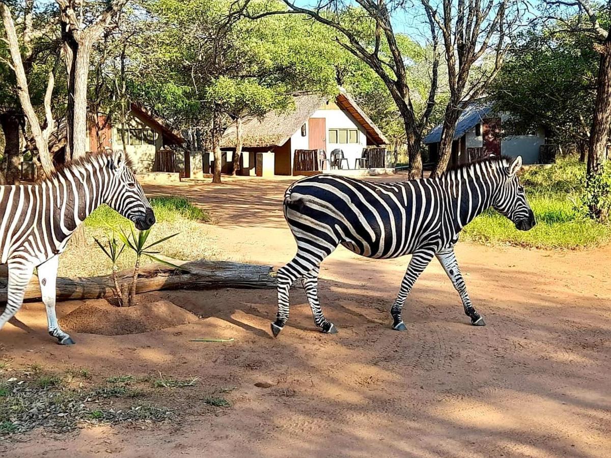 Вилла Wild Ride Safaris And Bush Camp Худспрут Экстерьер фото