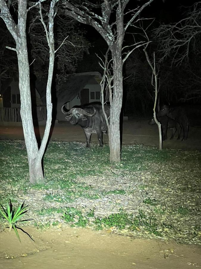 Вилла Wild Ride Safaris And Bush Camp Худспрут Экстерьер фото